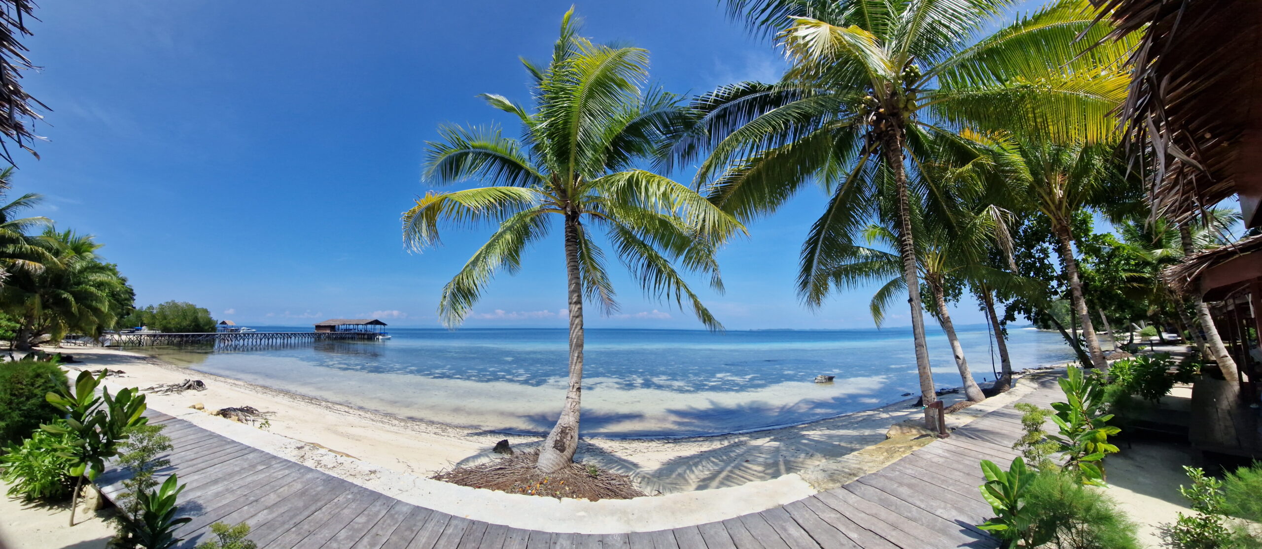 Raja Ampat Cove Eco Resort