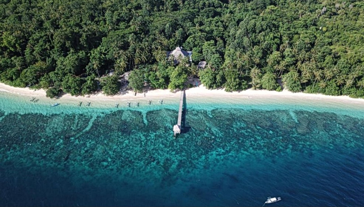 Sulawesi Coral Eye Bangka